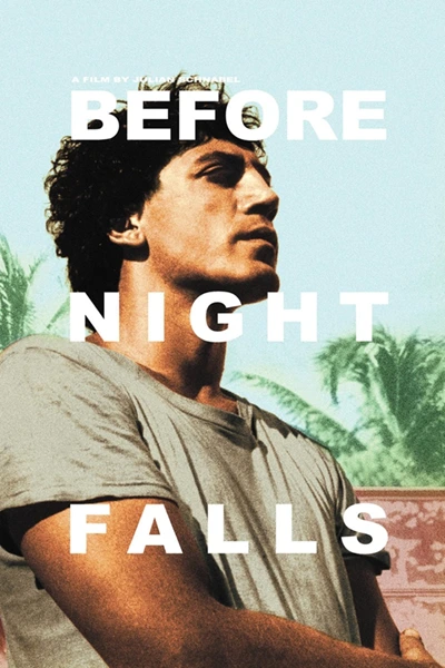 BNightF