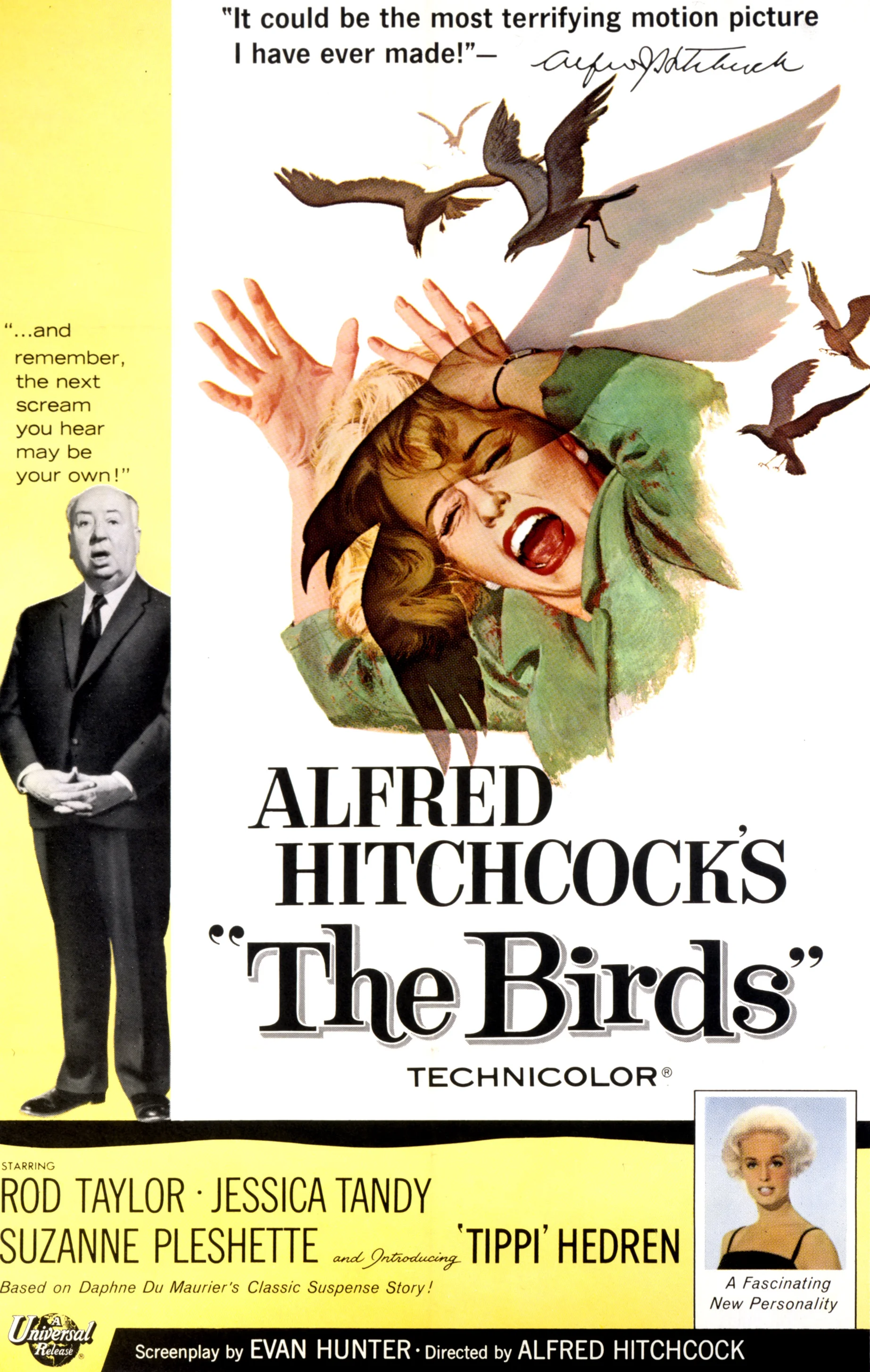 Birds