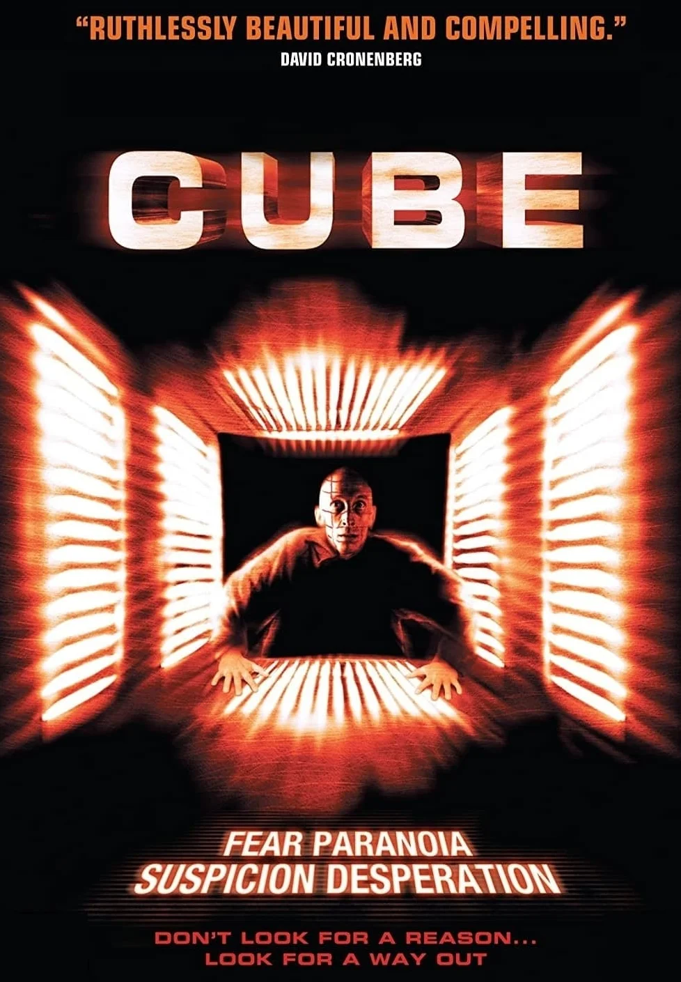 Cube