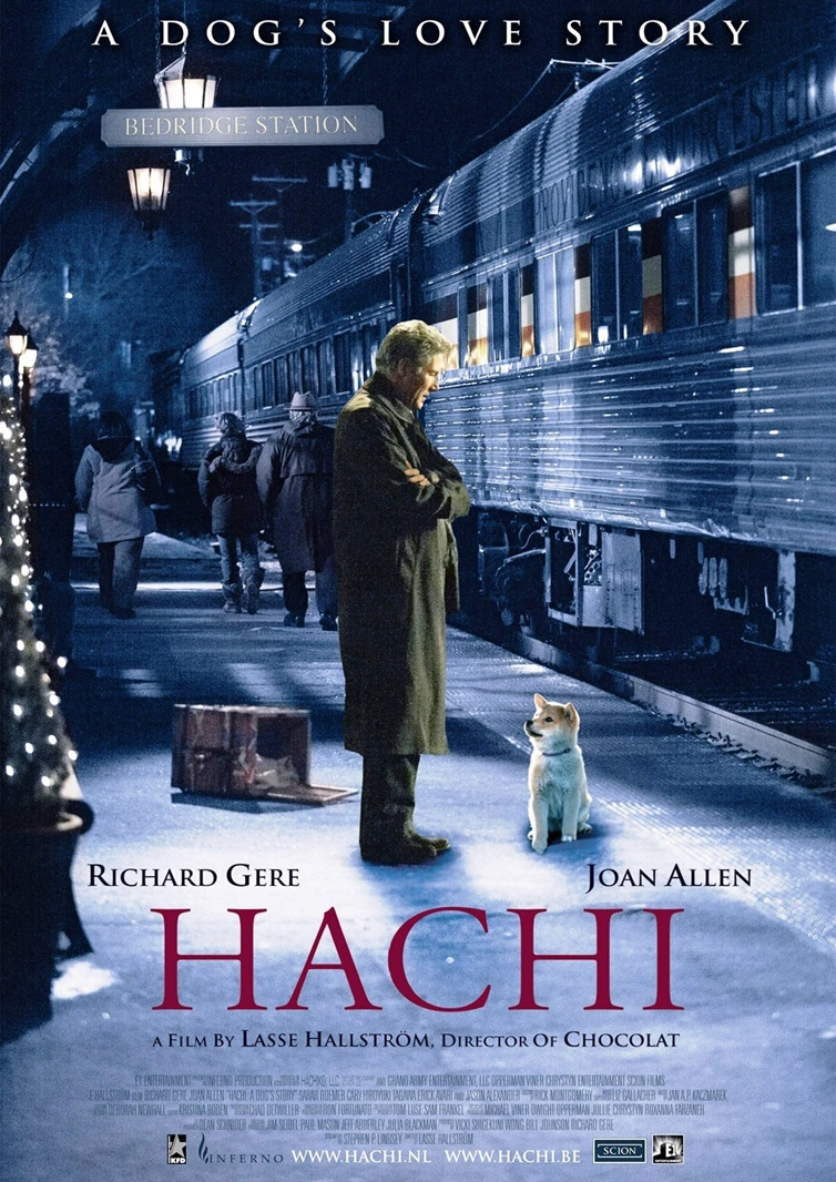 HachiDT
