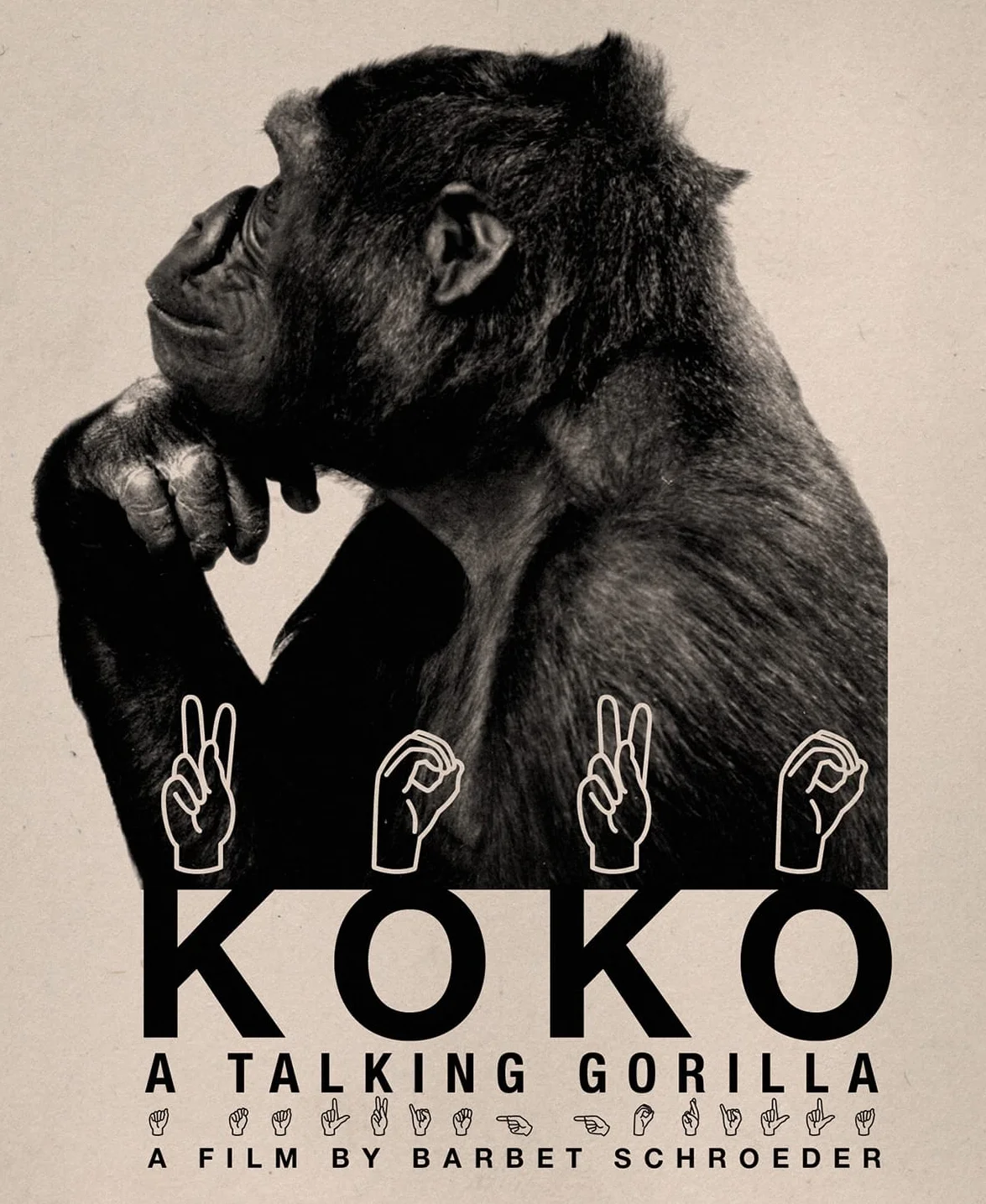 Koko