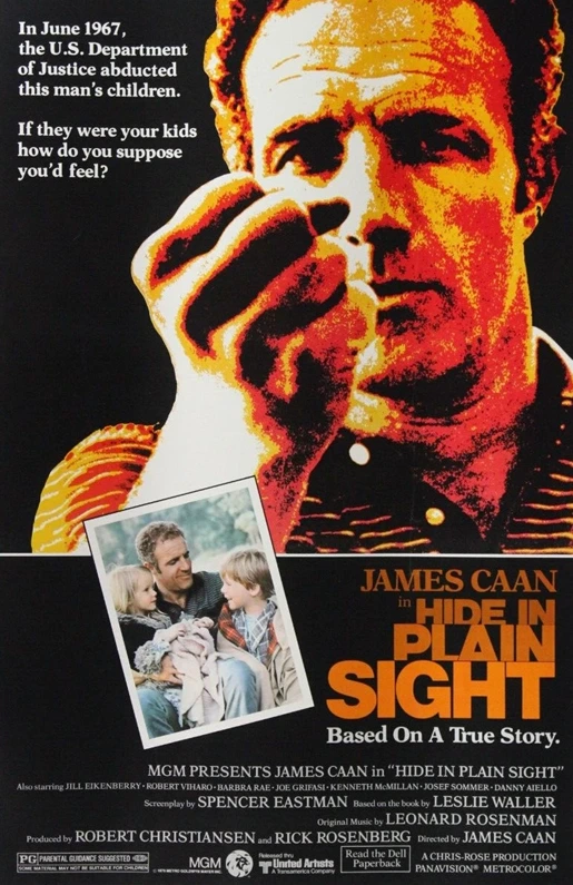 PlainSight
